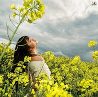 a woman is standing in a field of yellow flowers