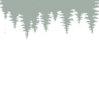 a black and white image of a forest with trees